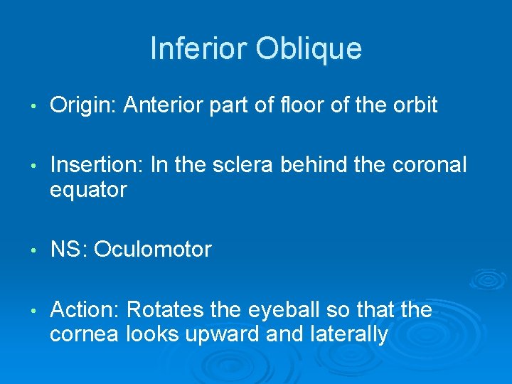 Inferior Oblique • Origin: Anterior part of floor of the orbit • Insertion: In