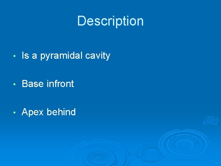 Description • Is a pyramidal cavity • Base infront • Apex behind 