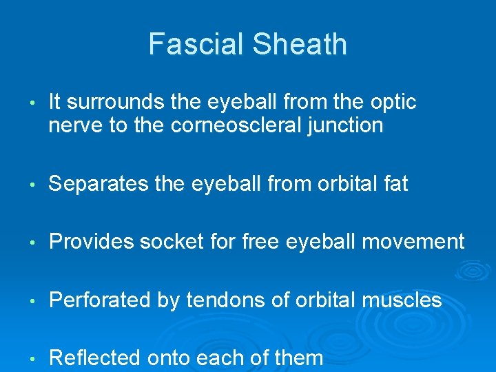 Fascial Sheath • It surrounds the eyeball from the optic nerve to the corneoscleral