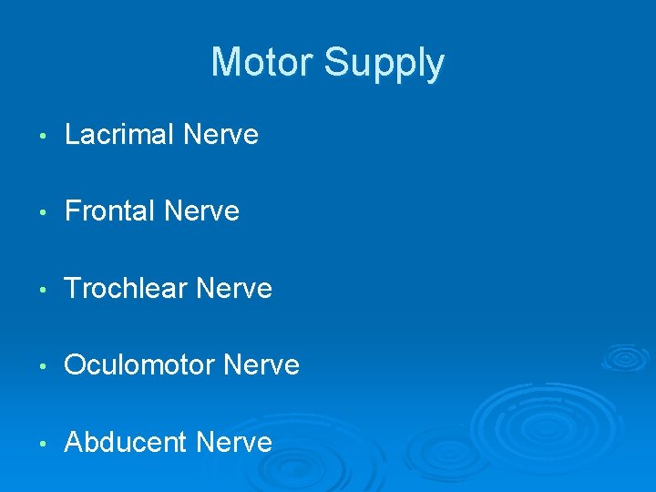 Motor Supply • Lacrimal Nerve • Frontal Nerve • Trochlear Nerve • Oculomotor Nerve