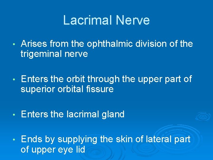 Lacrimal Nerve • Arises from the ophthalmic division of the trigeminal nerve • Enters