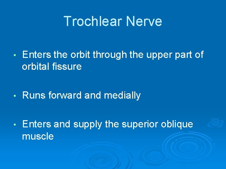 Trochlear Nerve • Enters the orbit through the upper part of orbital fissure •