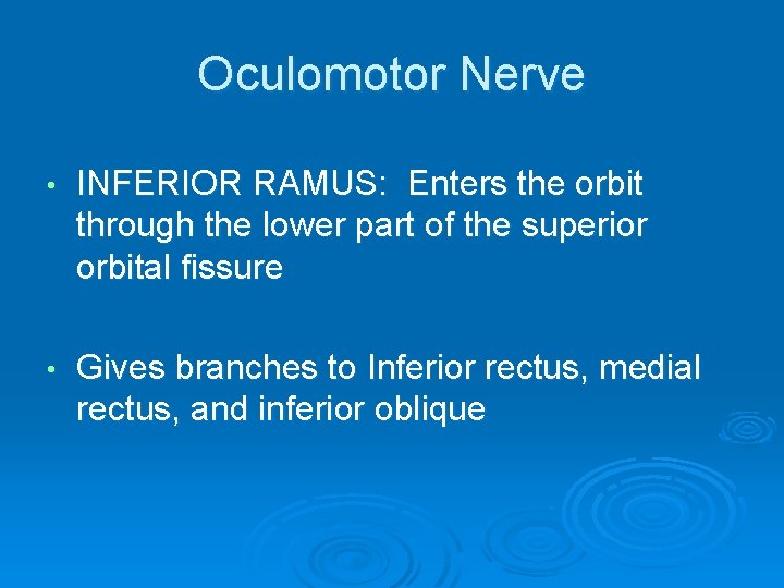 Oculomotor Nerve • INFERIOR RAMUS: Enters the orbit through the lower part of the