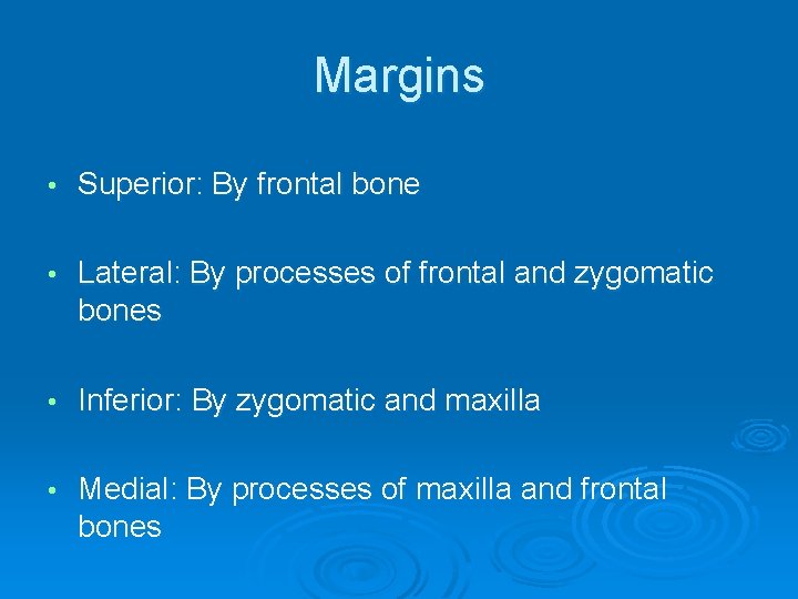 Margins • Superior: By frontal bone • Lateral: By processes of frontal and zygomatic