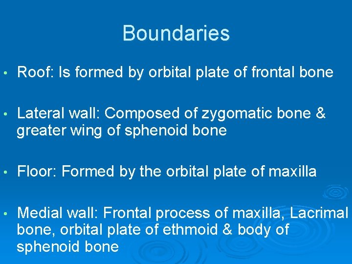 Boundaries • Roof: Is formed by orbital plate of frontal bone • Lateral wall: