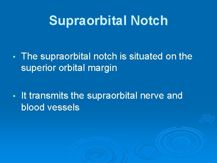 Supraorbital Notch • The supraorbital notch is situated on the superior orbital margin •