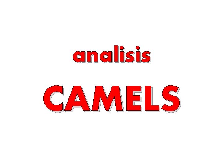 analisis CAMELS 