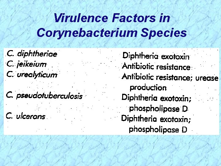 Virulence Factors in Corynebacterium Species 