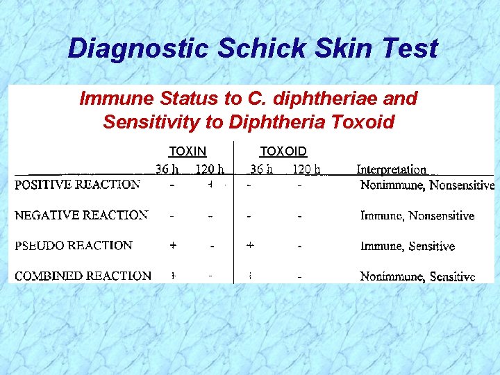 Diagnostic Schick Skin Test Immune Status to C. diphtheriae and Sensitivity to Diphtheria Toxoid