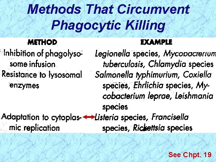 Methods That Circumvent Phagocytic Killing See Chpt. 19 