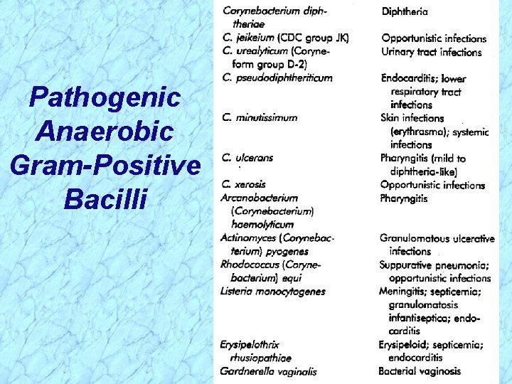 Pathogenic Anaerobic Gram-Positive Bacilli 