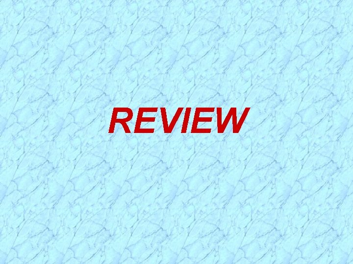 REVIEW 