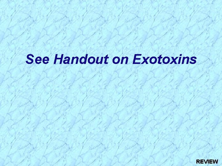 See Handout on Exotoxins REVIEW 