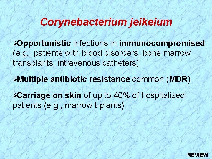 Corynebacterium jeikeium Opportunistic infections in immunocompromised (e. g. , patients with blood disorders, bone