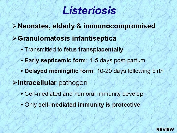 Listeriosis Neonates, elderly & immunocompromised Granulomatosis infantiseptica • Transmitted to fetus transplacentally • Early