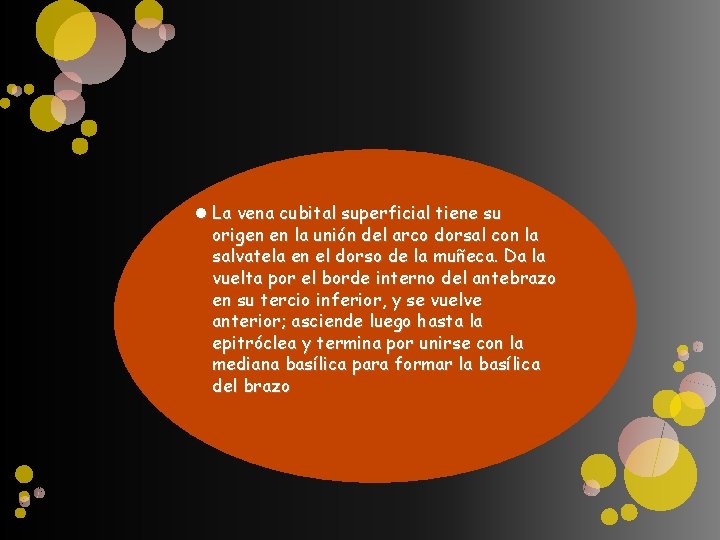  La vena cubital superficial tiene su origen en la unión del arco dorsal