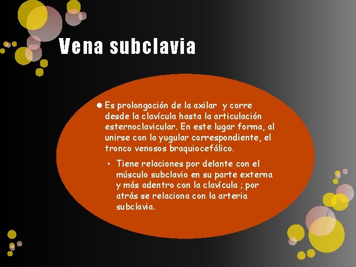 Vena subclavia Es prolongación de la axilar y corre desde la clavícula hasta la