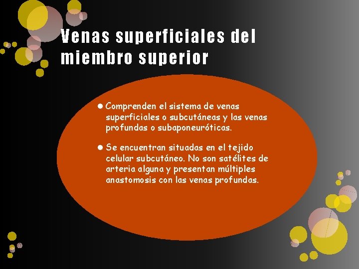 Venas superficiales del miembro superior Comprenden el sistema de venas superficiales o subcutáneas y