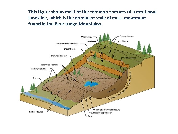 This figure shows most of the common features of a rotational landslide, which is