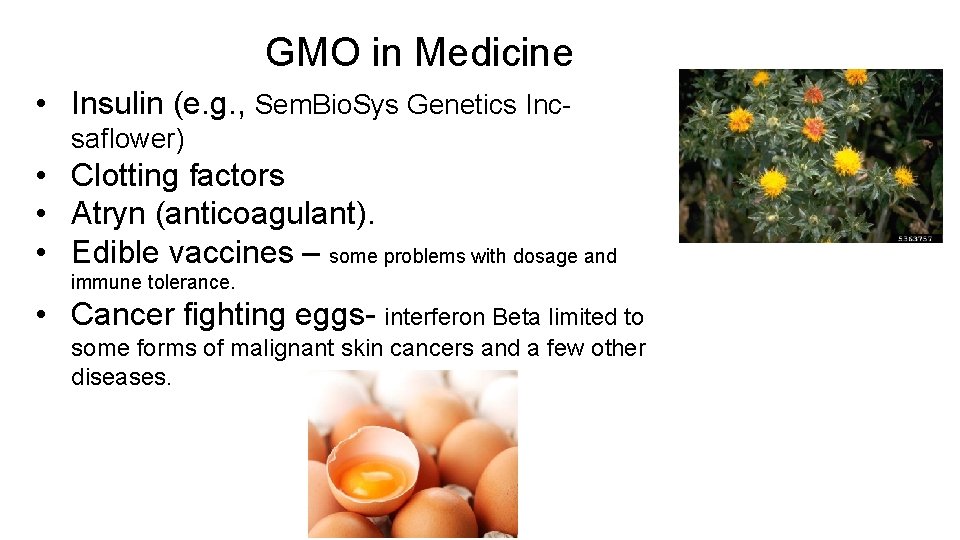 GMO in Medicine • Insulin (e. g. , Sem. Bio. Sys Genetics Incsaflower) •