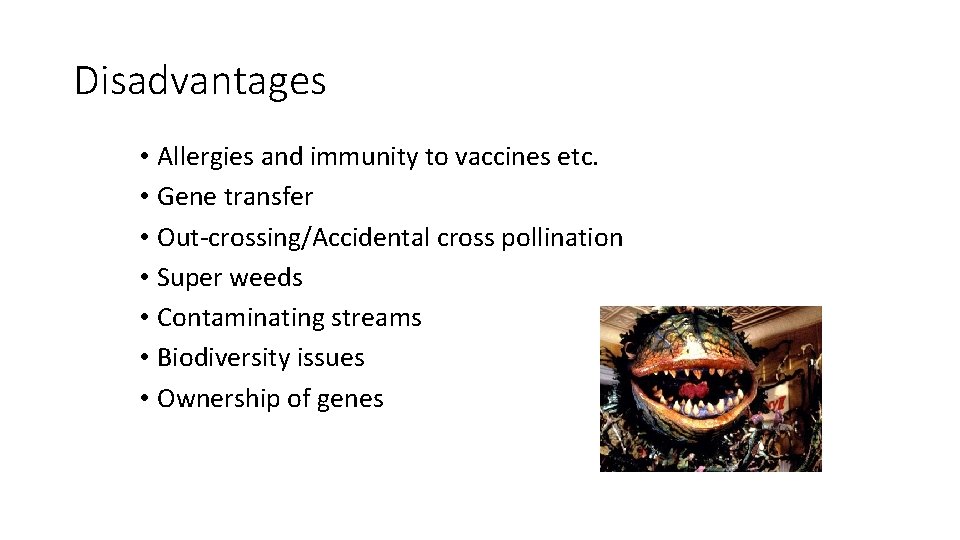 Disadvantages • Allergies and immunity to vaccines etc. • Gene transfer • Out-crossing/Accidental cross