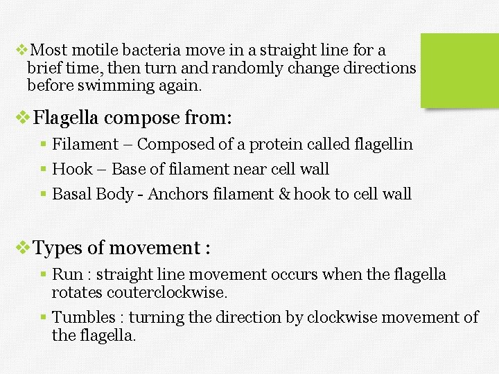 v. Most motile bacteria move in a straight line for a brief time, then