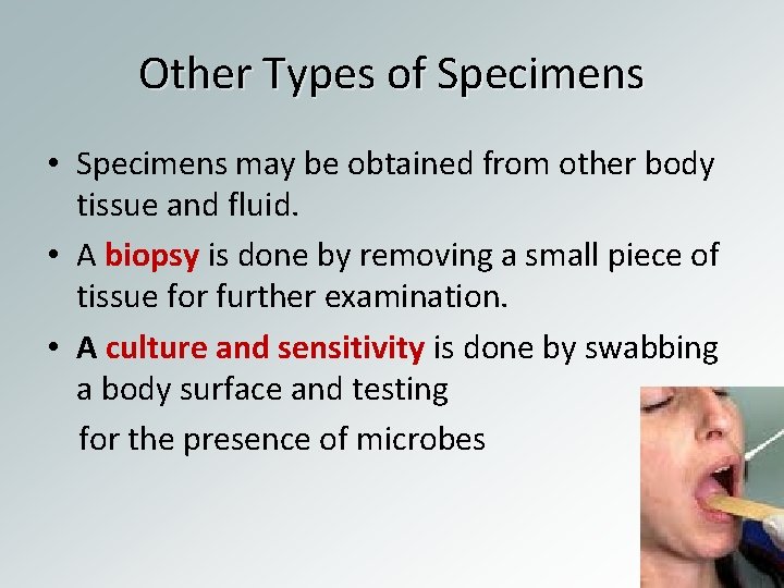 Other Types of Specimens • Specimens may be obtained from other body tissue and