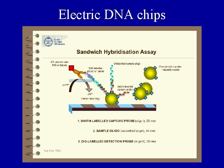 Electric DNA chips 