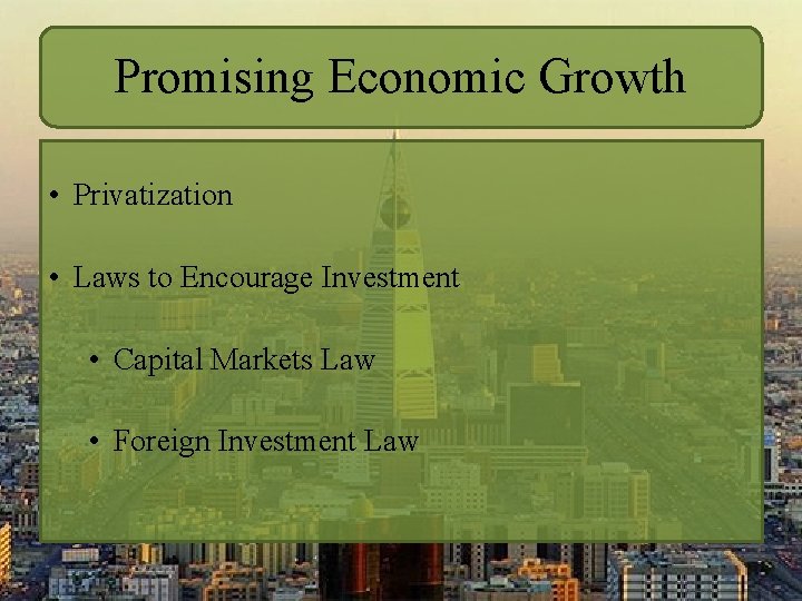 Promising Economic Growth • Privatization • Laws to Encourage Investment • Capital Markets Law