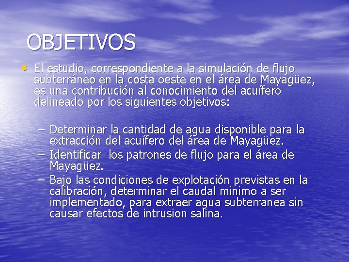 OBJETIVOS • El estudio, correspondiente a la simulación de flujo subterráneo en la costa