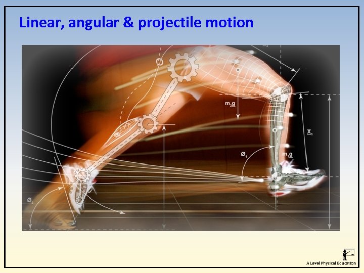 Linear, angular & projectile motion Linear, angular & projectile motion
