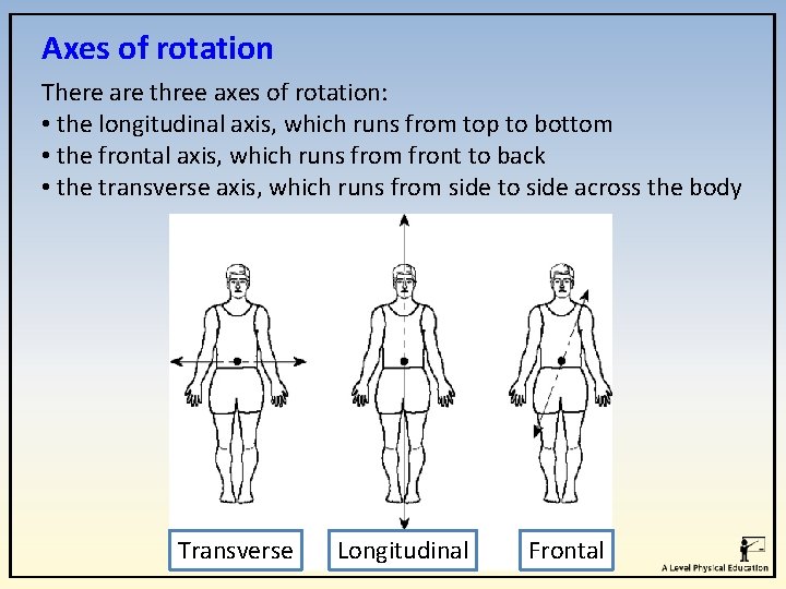 Axes of rotation There are three axes of rotation: • the longitudinal axis, which Axes of rotation There are three axes of rotation: • the longitudinal axis, which