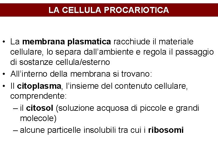 LA CELLULA PROCARIOTICA • La membrana plasmatica racchiude il materiale cellulare, lo separa dall’ambiente