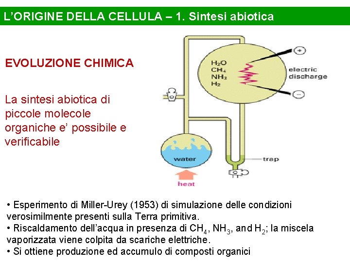 L’ORIGINE DELLA CELLULA – 1. Sintesi abiotica EVOLUZIONE CHIMICA La sintesi abiotica di piccole