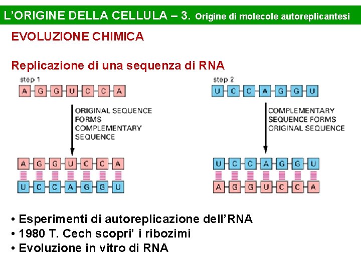 L’ORIGINE DELLA CELLULA – 3. Origine di molecole autoreplicantesi EVOLUZIONE CHIMICA Replicazione di una