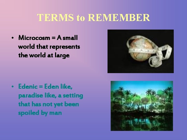 TERMS to REMEMBER • Microcosm = A small world that represents the world at