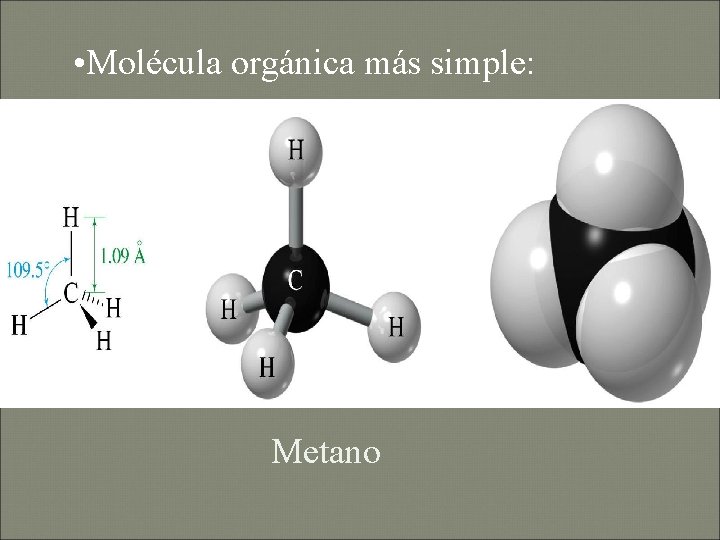  • Molécula orgánica más simple: Metano 