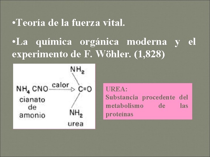  • Teoría de la fuerza vital. • La química orgánica moderna y el