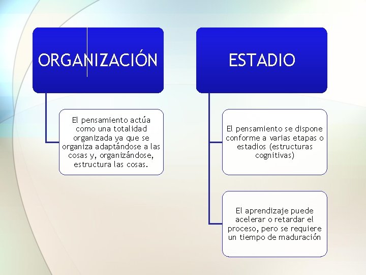 ORGANIZACIÓN El pensamiento actúa como una totalidad organizada ya que se organiza adaptándose a