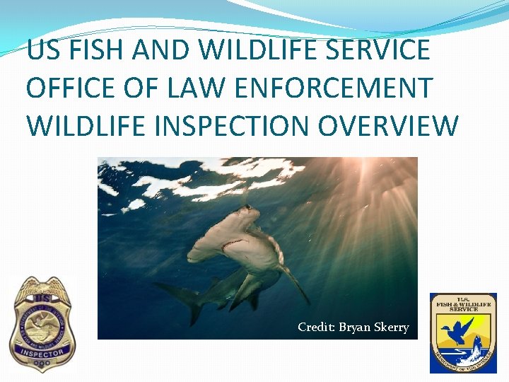 US FISH AND WILDLIFE SERVICE OFFICE OF LAW ENFORCEMENT WILDLIFE INSPECTION OVERVIEW Credit: Bryan