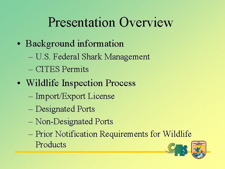 Presentation Overview • Background information – U. S. Federal Shark Management – CITES Permits