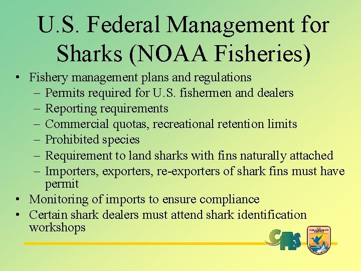 U. S. Federal Management for Sharks (NOAA Fisheries) • Fishery management plans and regulations