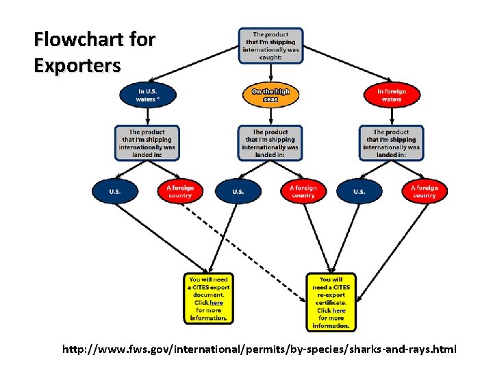 Flowchart for Exporters http: //www. fws. gov/international/permits/by-species/sharks-and-rays. html 