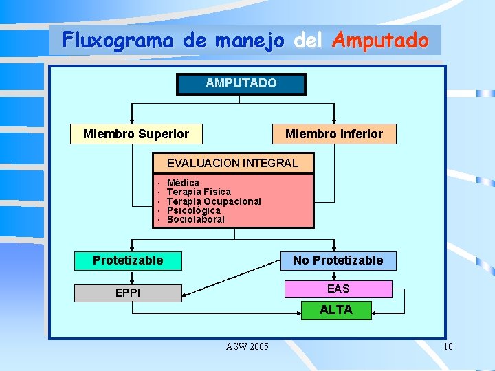Fluxograma de manejo del Amputado AMPUTADO Miembro Superior Miembro Inferior EVALUACION INTEGRAL Médica Terapia