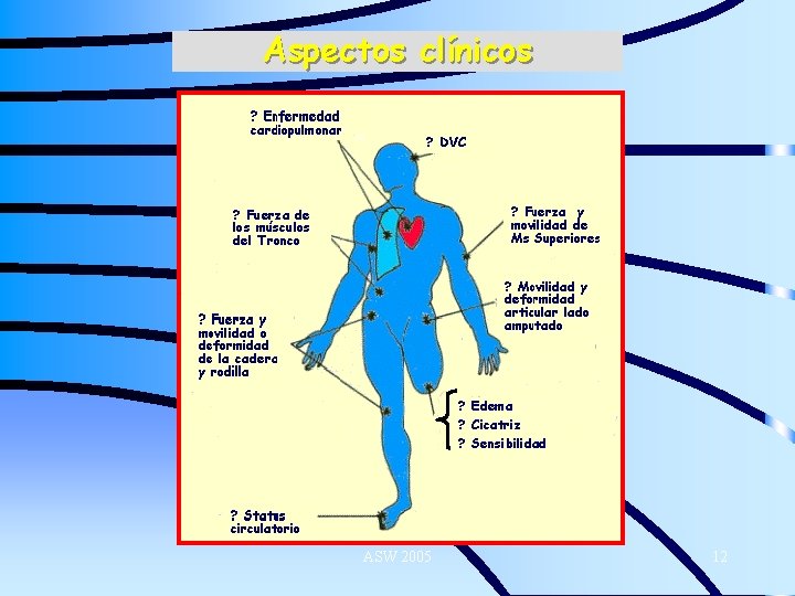 Aspectos clínicos ? Fuerza de los músculos del Tronco ? Edema ? Cicatriz ?
