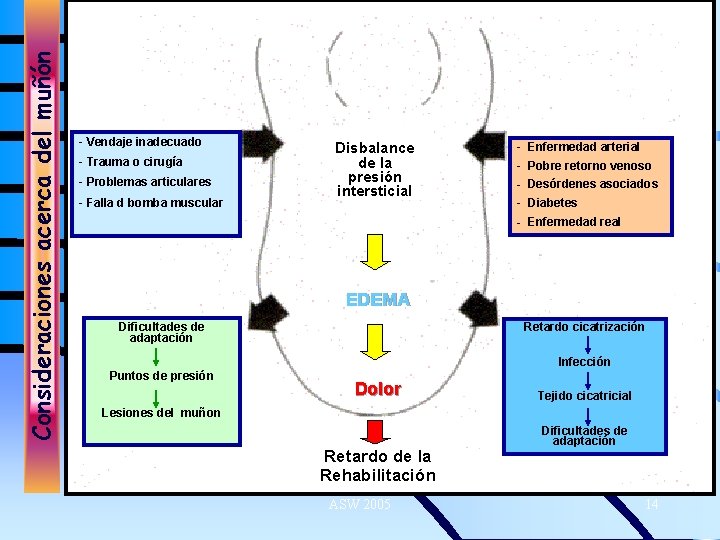 Consideraciones acerca del muñón - Vendaje inadecuado - Trauma o cirugía - Problemas articulares