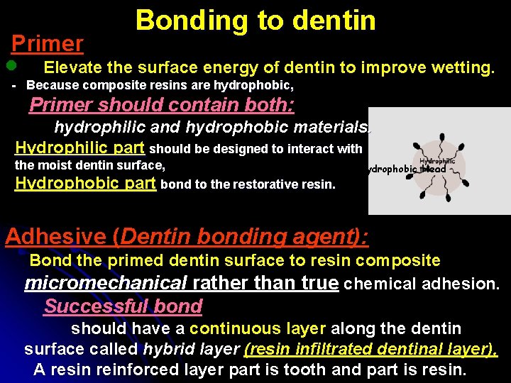 Primer l Bonding to dentin Elevate the surface energy of dentin to improve wetting.