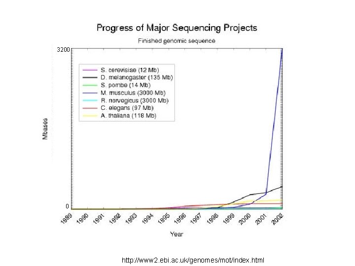 3200 0 http: //www 2. ebi. ac. uk/genomes/mot/index. html 