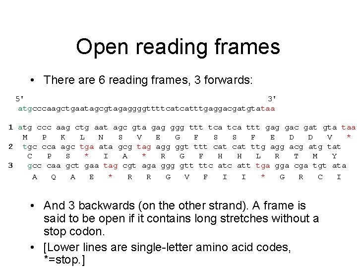 Open reading frames • There are 6 reading frames, 3 forwards: 5' 3' atgcccaagctgaatagcgtagaggggttttcatcatttgaggacgatgtataa