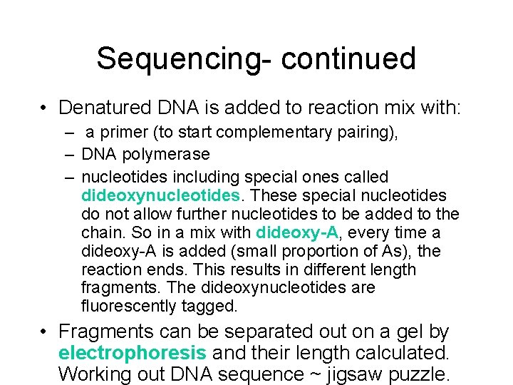 Sequencing- continued • Denatured DNA is added to reaction mix with: – a primer